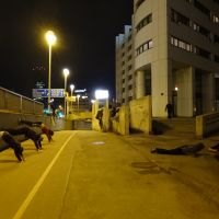 Evening Madness - Planche Refresher (suppmpeda), Donauinsel am 12.03.2015