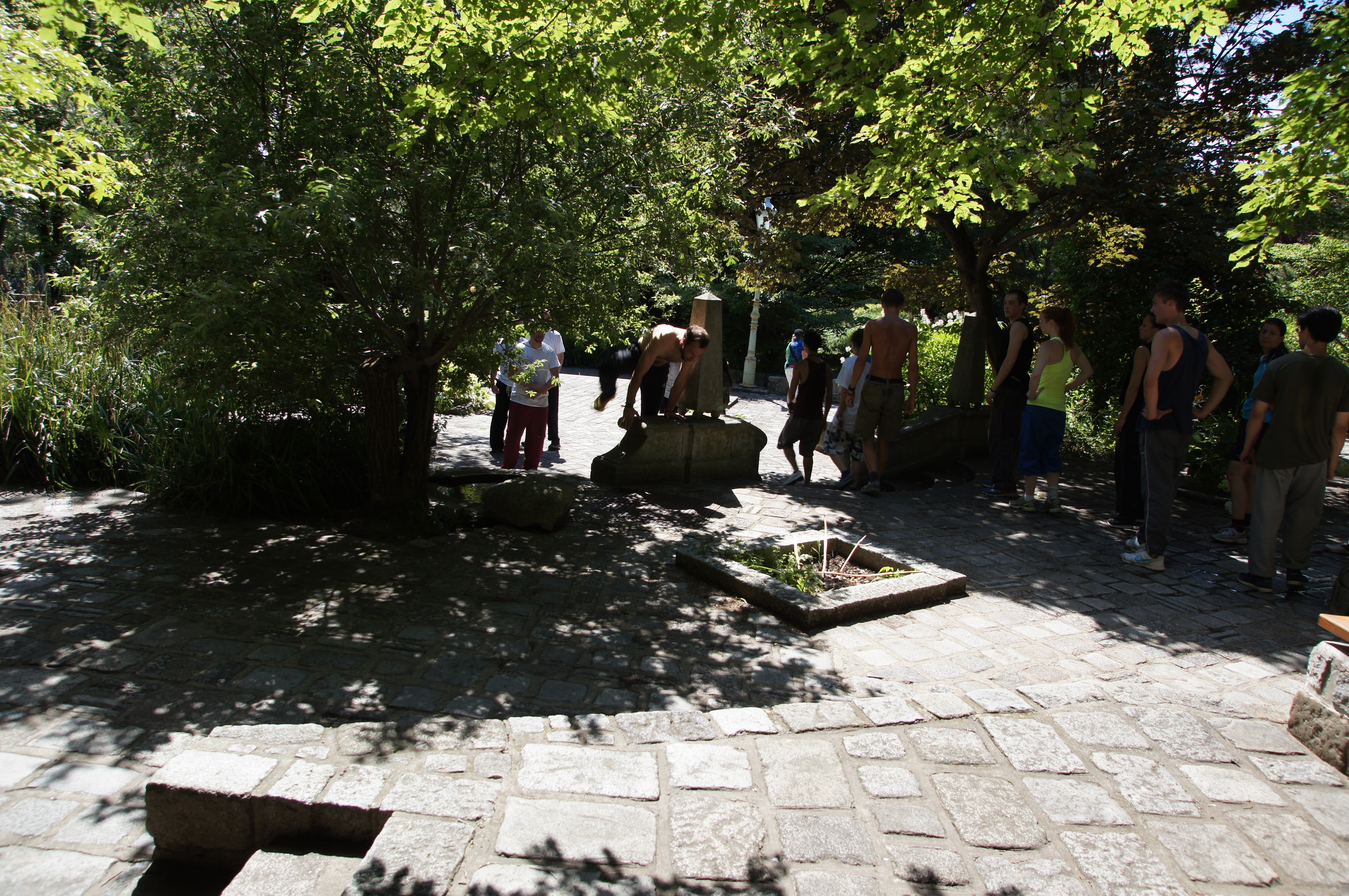 DSC07496
