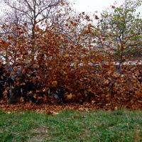 Forum-Meeting am 22.11.2015 #2