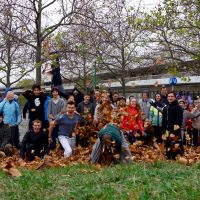 Forum-Meeting am 22.11.2015 #1