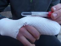 post-2236-0-01503800-1394992329_thumb.jp