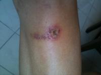 post-2233-0-63475600-1402648076_thumb.jp