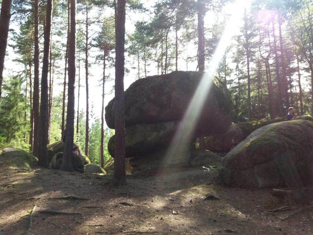 20160820_160959.jpg