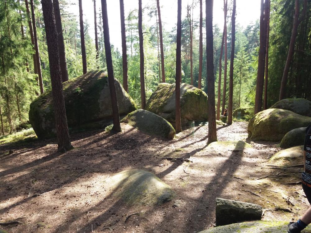 20160820_161016.jpg