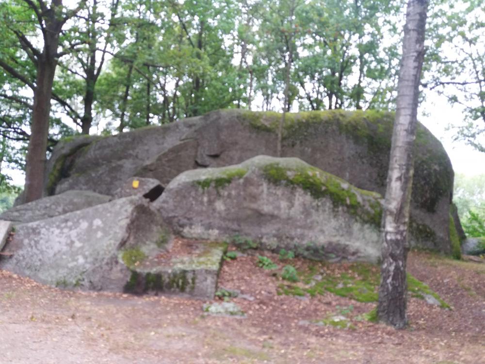 20160821_125159.jpg