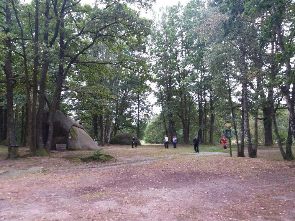 20160821_125207.jpg