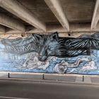 IMG_20180807_164118.jpg